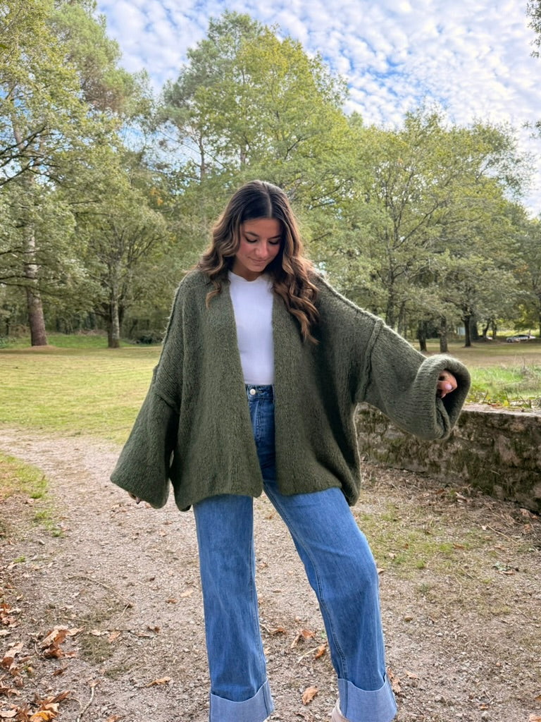 gilet gilet en laine CLARKE (plusieurs coloris) dsclothes