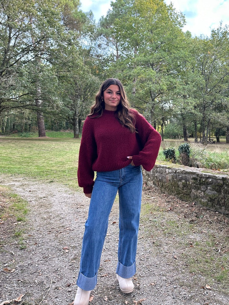 pull pull en laine BELLE (plusieurs coloris) dsclothes