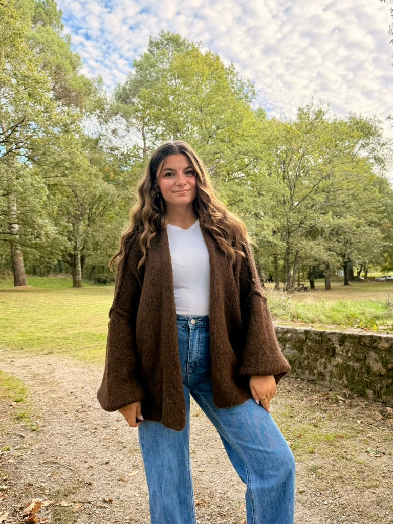 gilet gilet en laine CLARKE (plusieurs coloris) dsclothes